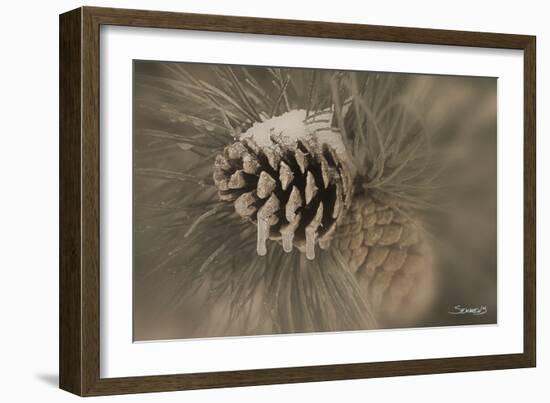 Flower-Gordon Semmens-Framed Photographic Print