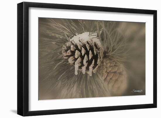 Flower-Gordon Semmens-Framed Photographic Print