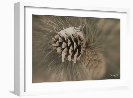 Flower-Gordon Semmens-Framed Photographic Print