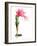 Flower-José Luis Villar-Framed Photographic Print