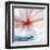 Flower-Ursula Abresch-Framed Premium Photographic Print