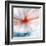 Flower-Ursula Abresch-Framed Premium Photographic Print