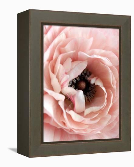 Flower-Design Fabrikken-Framed Premier Image Canvas