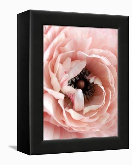 Flower-Design Fabrikken-Framed Premier Image Canvas