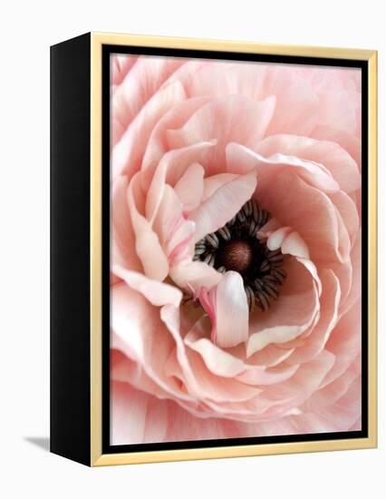 Flower-Design Fabrikken-Framed Premier Image Canvas