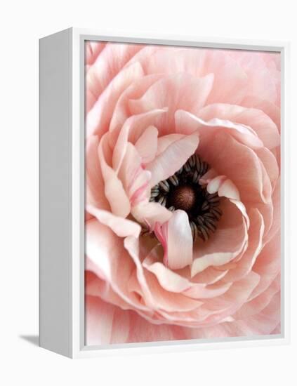 Flower-Design Fabrikken-Framed Premier Image Canvas