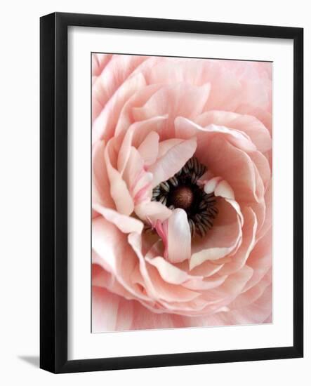 Flower-Design Fabrikken-Framed Photographic Print