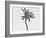 Flower-Panoramic Images-Framed Photographic Print