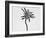 Flower-Panoramic Images-Framed Photographic Print