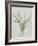 Flower-null-Framed Giclee Print