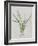 Flower-null-Framed Giclee Print