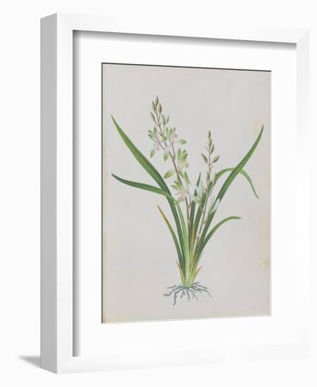 Flower-null-Framed Giclee Print