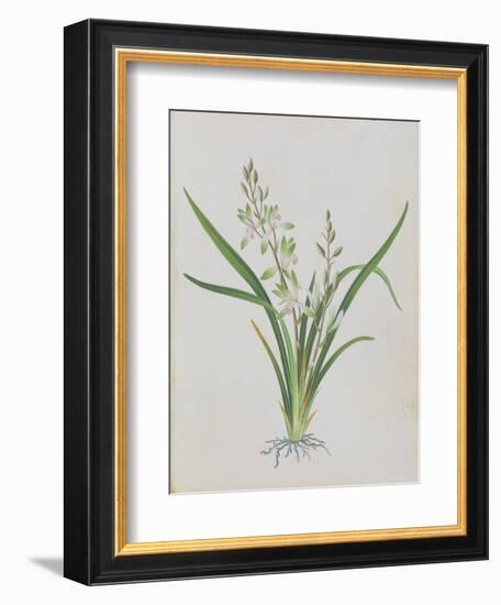 Flower-null-Framed Giclee Print