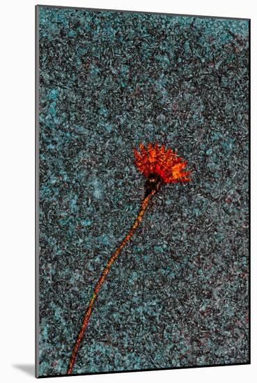 Flower-Andre Burian-Mounted Giclee Print