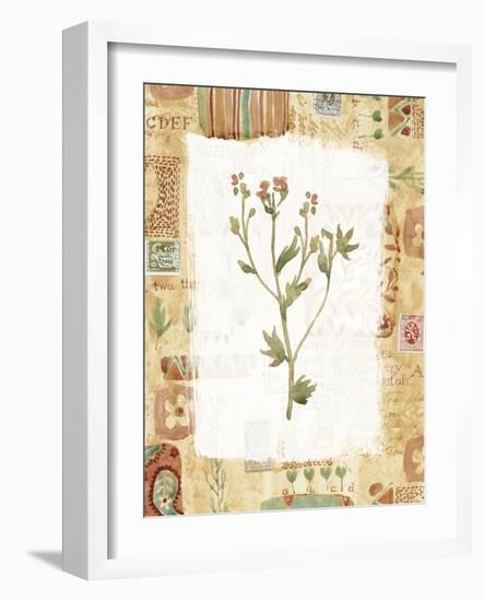 Flower-Hope Street Designs-Framed Giclee Print