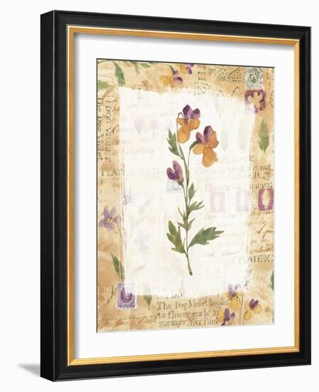 Flower-Hope Street Designs-Framed Giclee Print