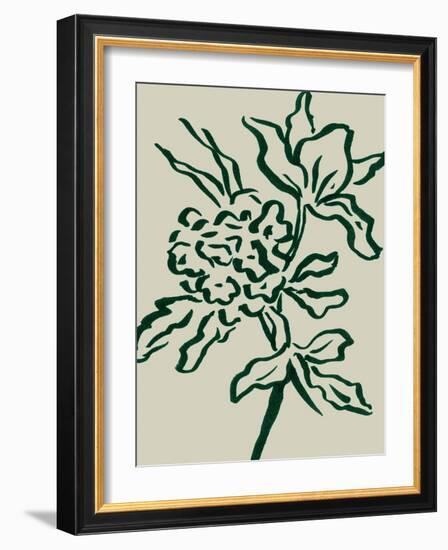 Flower-Dan Hobday-Framed Photographic Print