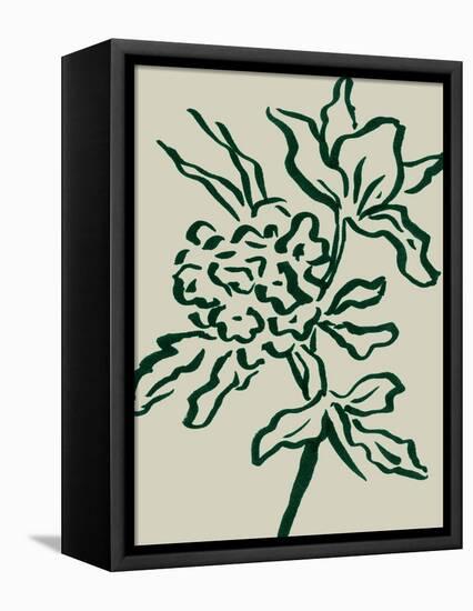 Flower-Dan Hobday-Framed Premier Image Canvas