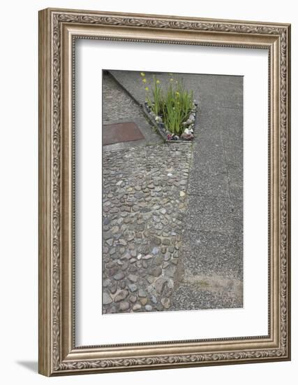 Flowerbed in the concrete-Gianna Schade-Framed Photographic Print