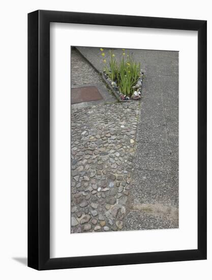 Flowerbed in the concrete-Gianna Schade-Framed Photographic Print