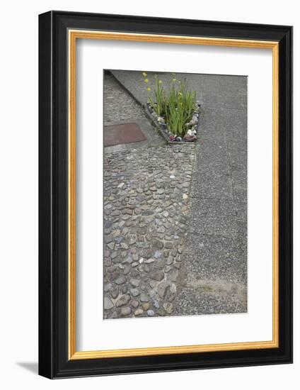 Flowerbed in the concrete-Gianna Schade-Framed Photographic Print