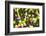 Flowerbed with Spring Flowers-Brigitte Protzel-Framed Photographic Print