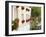 Flowerbox, Luxembourg City, Luxembourg-William Sutton-Framed Photographic Print