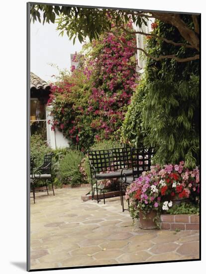 Flowered Patio with Chairs-null-Mounted Photographic Print