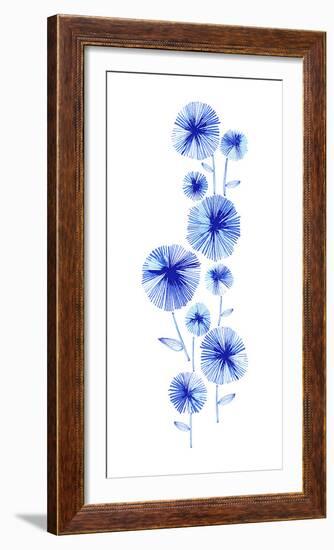 Flowering Aster-null-Framed Giclee Print