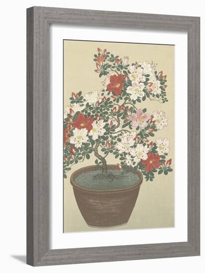 Flowering Azalea-Ohara Koson-Framed Art Print