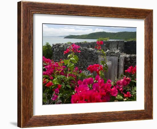 Flowering Bougainvillea & Ruins, Chateau Dubuc, Martinique, French Antilles, West Indies-Scott T. Smith-Framed Photographic Print