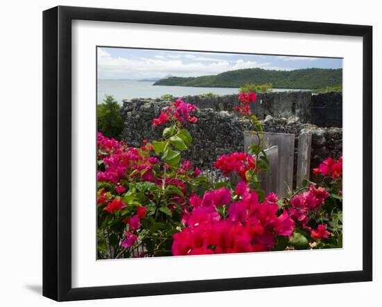 Flowering Bougainvillea & Ruins, Chateau Dubuc, Martinique, French Antilles, West Indies-Scott T. Smith-Framed Photographic Print