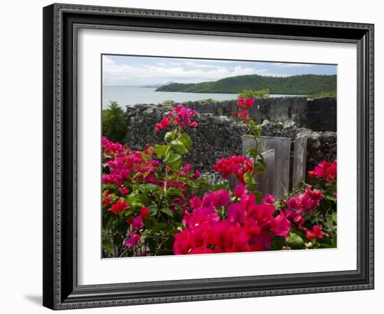 Flowering Bougainvillea & Ruins, Chateau Dubuc, Martinique, French Antilles, West Indies-Scott T. Smith-Framed Photographic Print