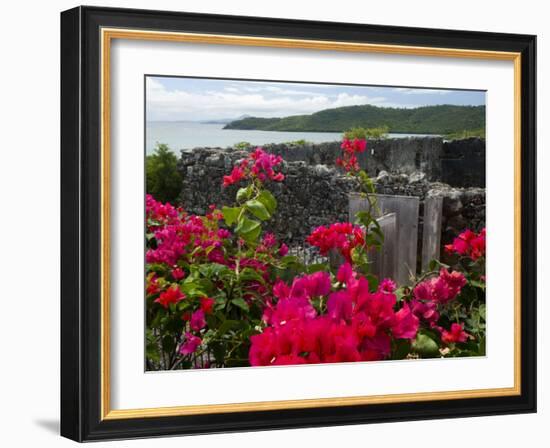 Flowering Bougainvillea & Ruins, Chateau Dubuc, Martinique, French Antilles, West Indies-Scott T. Smith-Framed Photographic Print