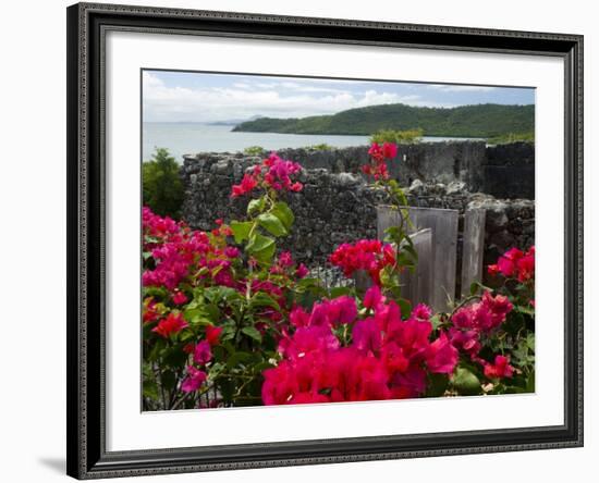 Flowering Bougainvillea & Ruins, Chateau Dubuc, Martinique, French Antilles, West Indies-Scott T. Smith-Framed Photographic Print