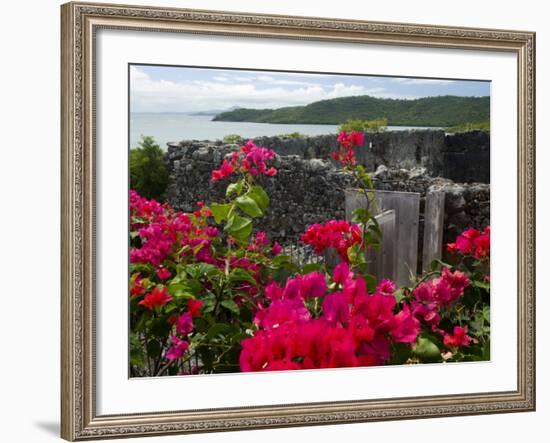 Flowering Bougainvillea & Ruins, Chateau Dubuc, Martinique, French Antilles, West Indies-Scott T. Smith-Framed Photographic Print