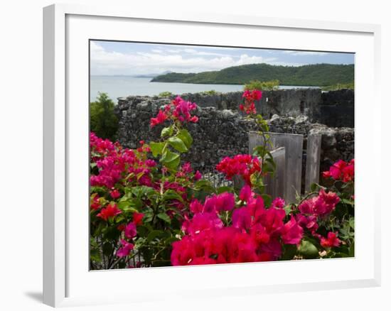 Flowering Bougainvillea & Ruins, Chateau Dubuc, Martinique, French Antilles, West Indies-Scott T. Smith-Framed Photographic Print