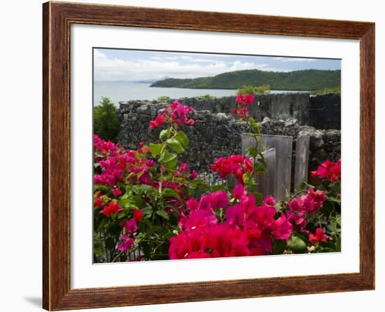 Flowering Bougainvillea & Ruins, Chateau Dubuc, Martinique, French Antilles, West Indies-Scott T. Smith-Framed Photographic Print