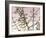 Flowering Branchess-Rica Belna-Framed Giclee Print