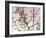 Flowering Branchess-Rica Belna-Framed Giclee Print