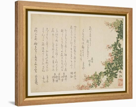 Flowering Bush Clover-Yano Yach?-Framed Premier Image Canvas