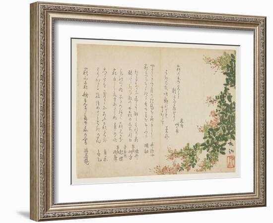 Flowering Bush Clover-Yano Yach?-Framed Giclee Print