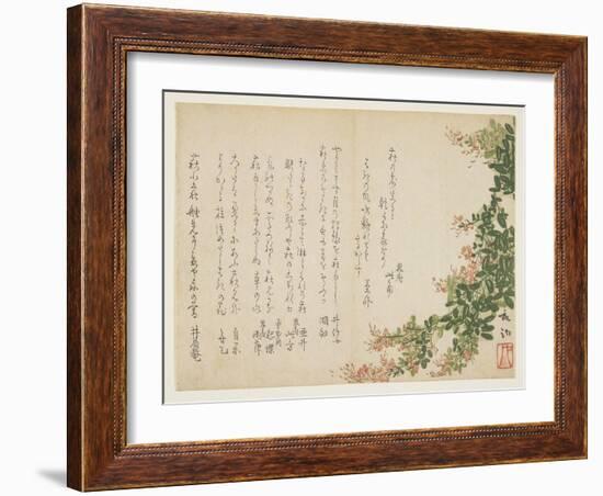 Flowering Bush Clover-Yano Yach?-Framed Giclee Print