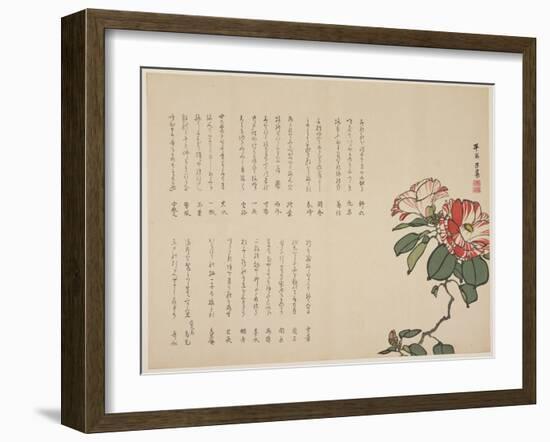 Flowering Camellia, C.1818-1829-Hyakuj?-Framed Giclee Print