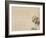 Flowering Camellia, C.1818-1829-Hyakuj?-Framed Giclee Print