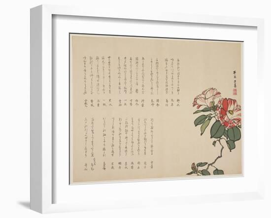 Flowering Camellia, C.1818-1829-Hyakuj?-Framed Giclee Print