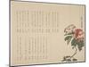 Flowering Camellia, C.1818-1829-Hyakuj?-Mounted Giclee Print