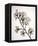 Flowering Cherry II-Kathy Mahan-Framed Stretched Canvas
