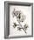 Flowering Cherry II-Kathy Mahan-Framed Photo