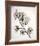 Flowering Cherry II-Kathy Mahan-Framed Photo